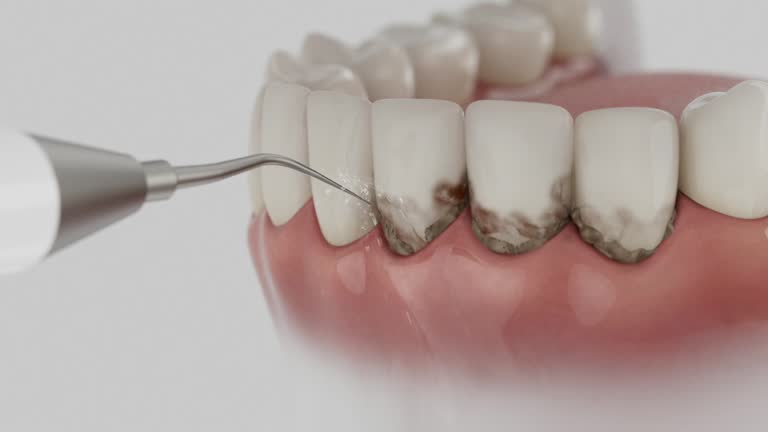 Reliable Dental contractor in Perryman, MD by Dentist Open Now